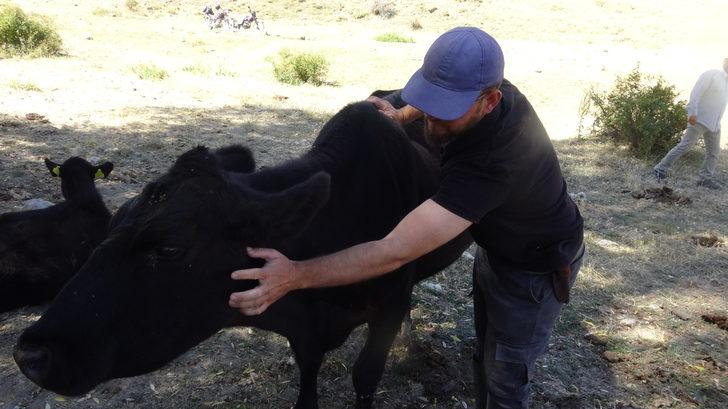 Büyükşehirden döndüğü köyünde boş arazileri değerlendiren kuaför besicilik yapıyor G3