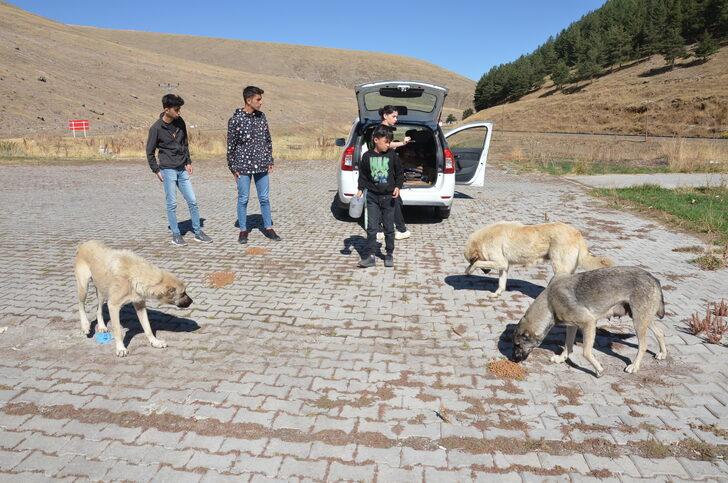 Doğu Anadolu'da Dünya Hayvanları Koruma Günü etkinlikleri düzenlendi G1