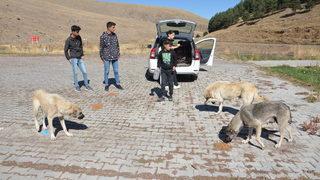 Doğu Anadolu'da Dünya Hayvanları Koruma Günü etkinlikleri düzenlendi