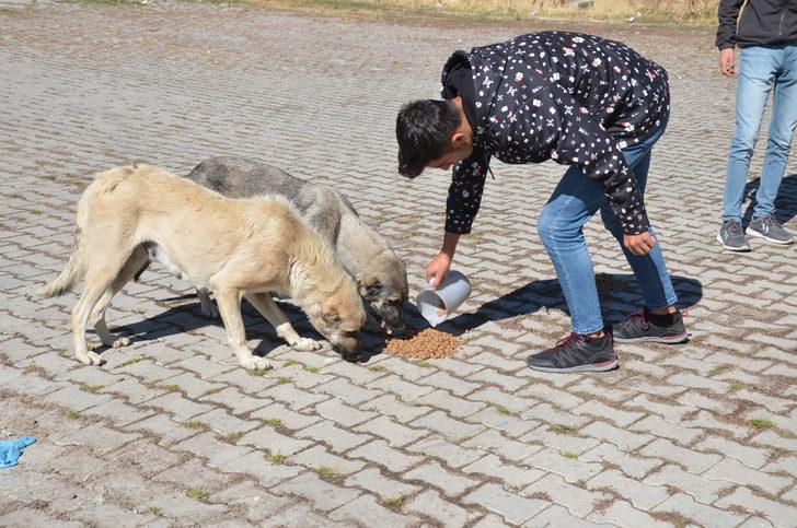 Doğu Anadolu'da Dünya Hayvanları Koruma Günü etkinlikleri düzenlendi G3