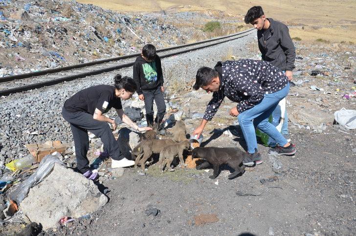 Doğu Anadolu'da Dünya Hayvanları Koruma Günü etkinlikleri düzenlendi G4