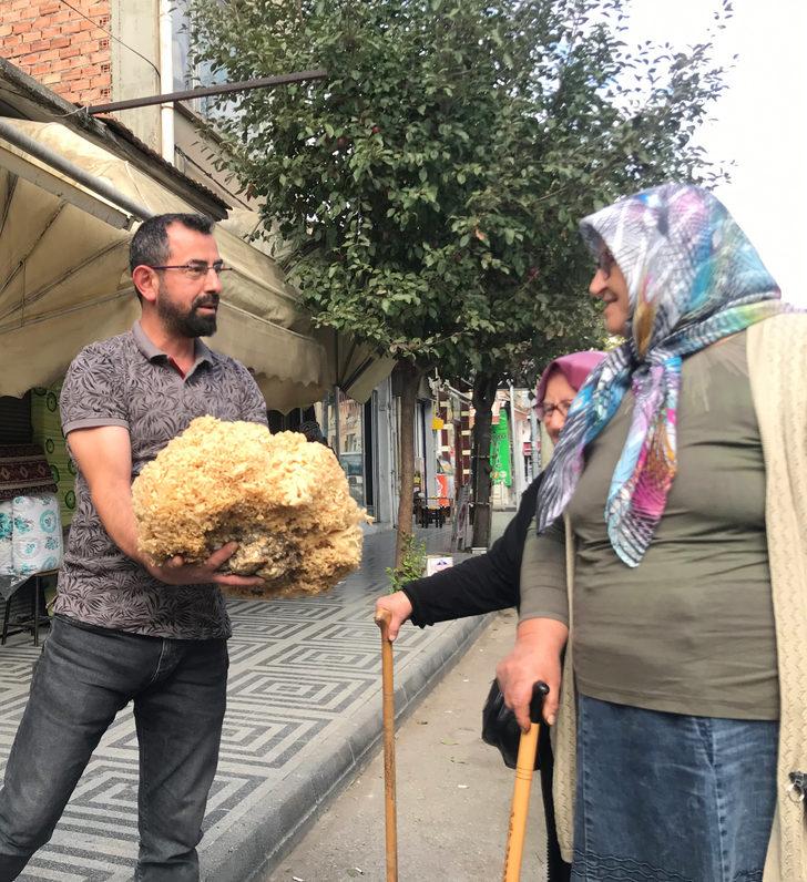 Kastamonu'da 6 kilogram ağırlığında çam mantarı bulundu G2