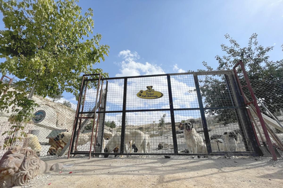Kayseri'deki "Pati K&ouml;y"&uuml;n bir b&ouml;l&uuml;m&uuml; hayvan mezarlığı olarak hizmet verecek