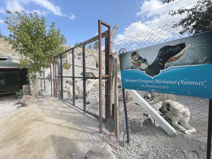 Kayseri'deki "Pati Köy"ün bir bölümü hayvan mezarlığı olarak hizmet verecek G2