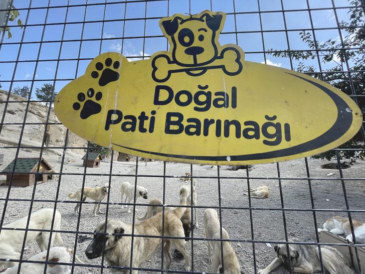 Kayseri'deki "Pati Köy"ün bir bölümü hayvan mezarlığı olarak hizmet verecek G4