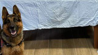 Sakarya'da 5 kilo 20 gram uyuşturucu ele geçirildi