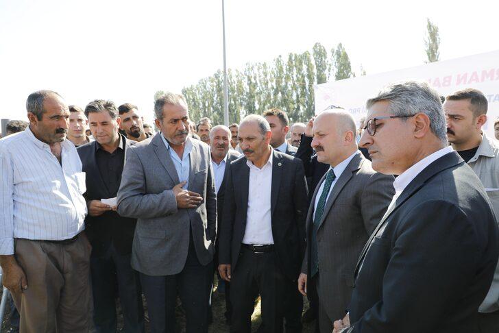 Ağrı'da çiftçilere 179 damızlık koç dağıtıldı G2