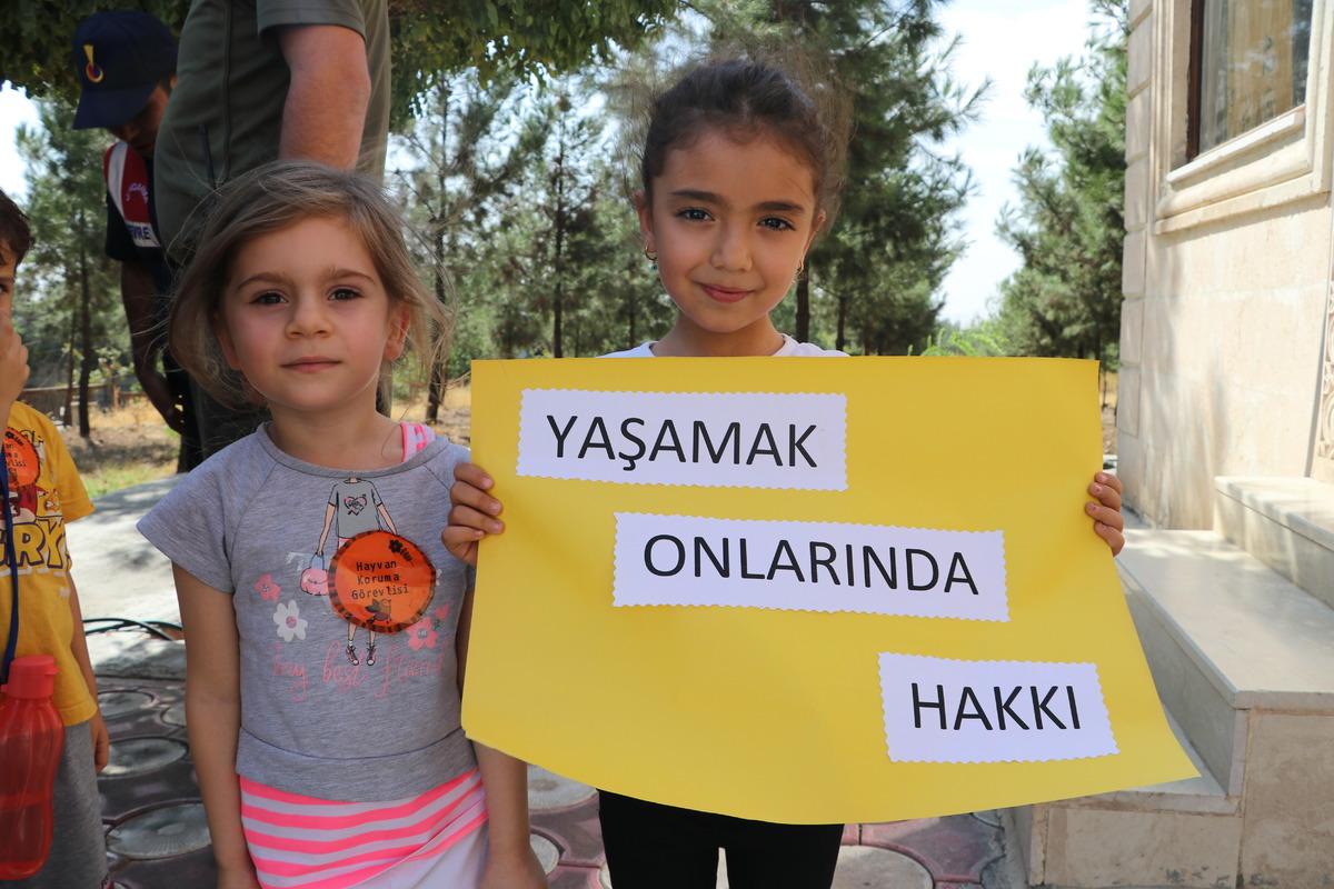 "4 Ekim D&uuml;nya Hayvanları Koruma G&uuml;n&uuml;"nde farkındalık etkinlikleri d&uuml;zenlendi