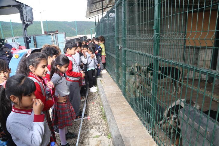Çocuklar Kastamonu Belediyesi Geçici Hayvan Bakımevi'ni gezdi G3