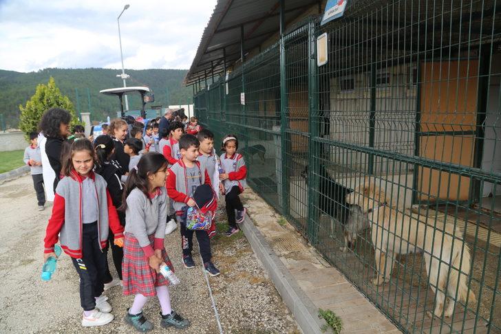 Çocuklar Kastamonu Belediyesi Geçici Hayvan Bakımevi'ni gezdi G4