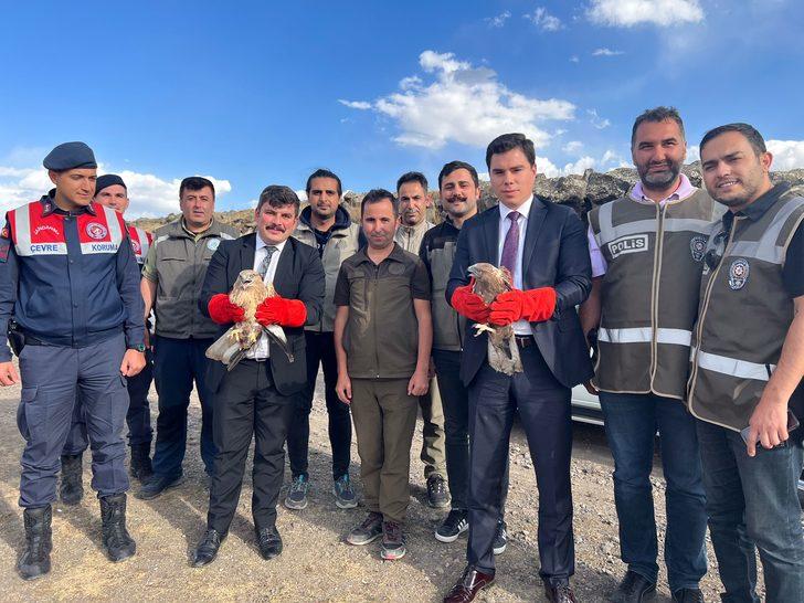 Kars'ta tedavisi tamamlanan kartal ve iki kızıl şahin doğaya bırakıldı G1