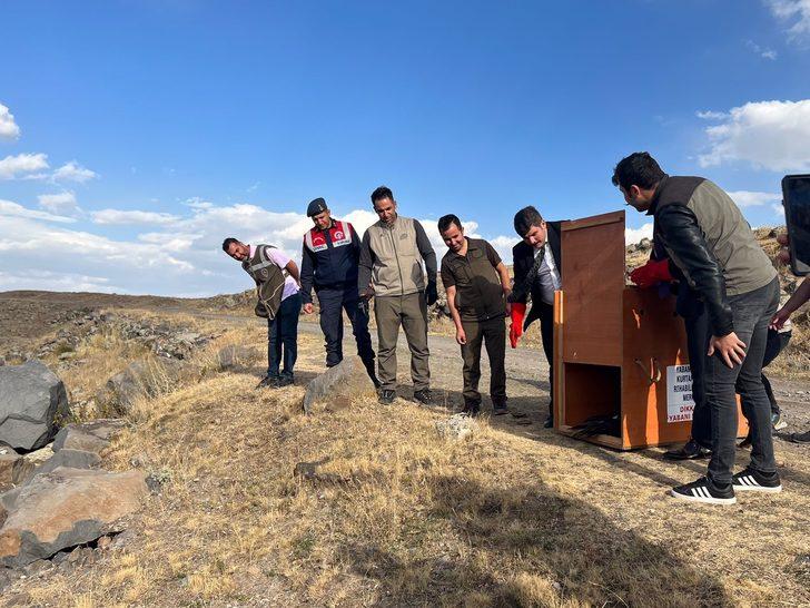Kars'ta tedavisi tamamlanan kartal ve iki kızıl şahin doğaya bırakıldı G4