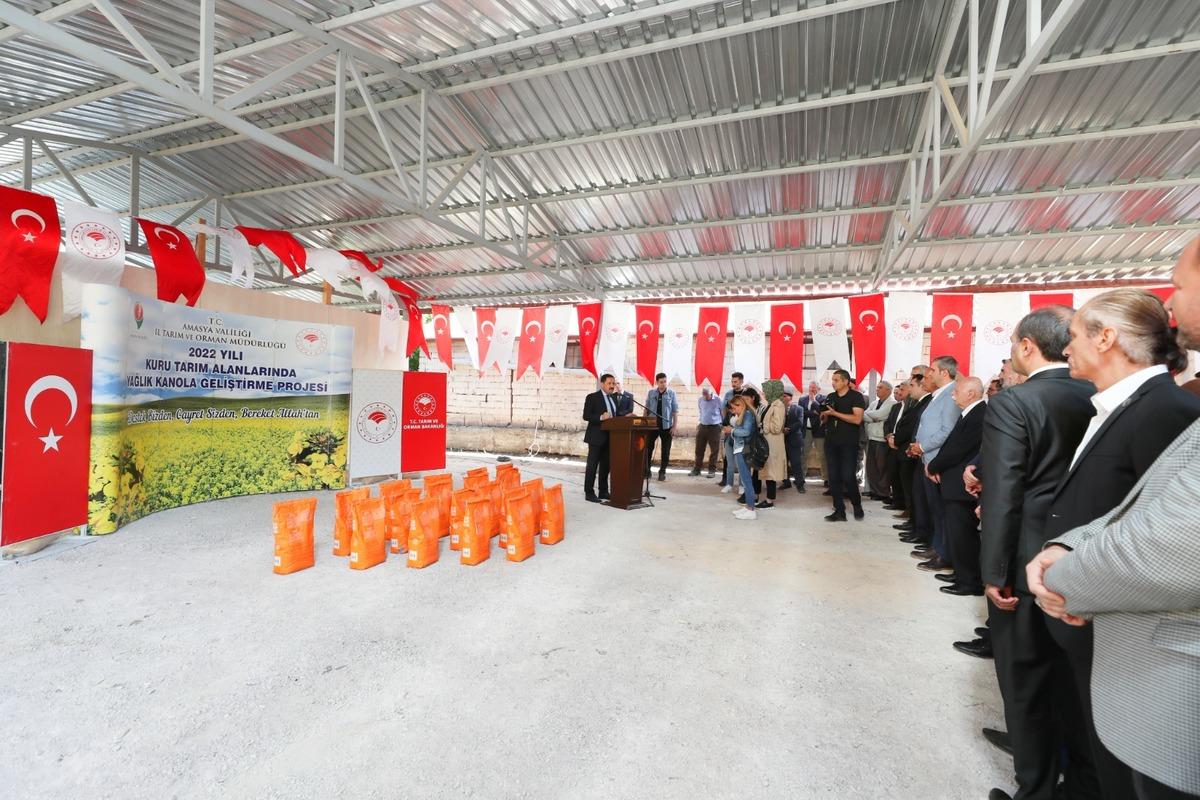 Amasya'da &ccedil;ift&ccedil;ilere kanola tohumu dağıtıldı