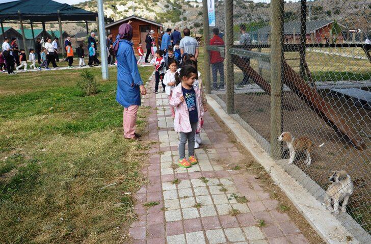 Kütahya'da hayvan barınağına alttan ısıtmalı sistem kuruldu G2