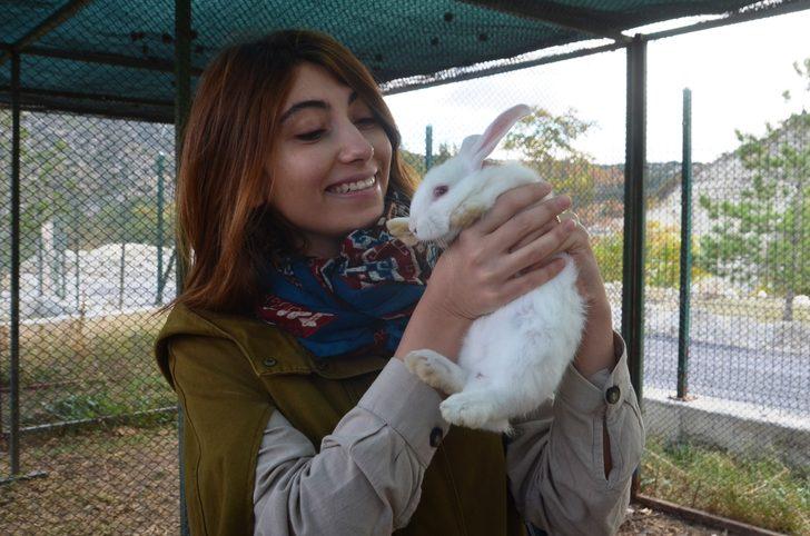 Kütahya'da hayvan barınağına alttan ısıtmalı sistem kuruldu G4