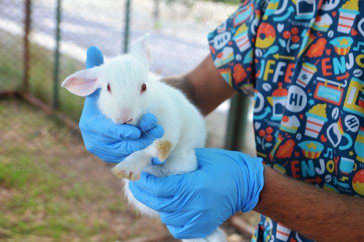 Kütahya'da hayvan barınağına alttan ısıtmalı sistem kuruldu G5