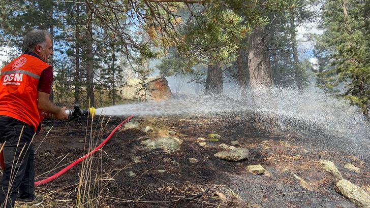 Kars'ta ormanlık alanda çıkan örtü yangını söndürüldü G2