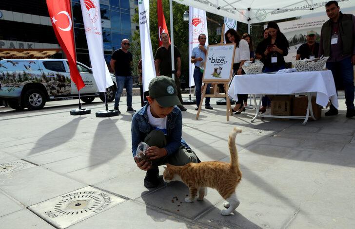 Muğla'da sahipsiz hayvanlar için vatandaşlara mama dağıtıldı G1