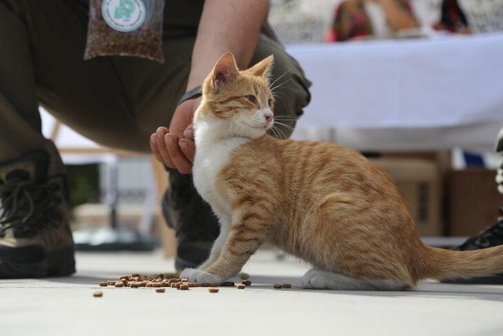 Muğla'da sahipsiz hayvanlar için vatandaşlara mama dağıtıldı G2