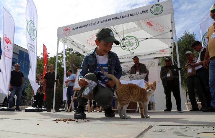 Muğla'da sahipsiz hayvanlar için vatandaşlara mama dağıtıldı G4