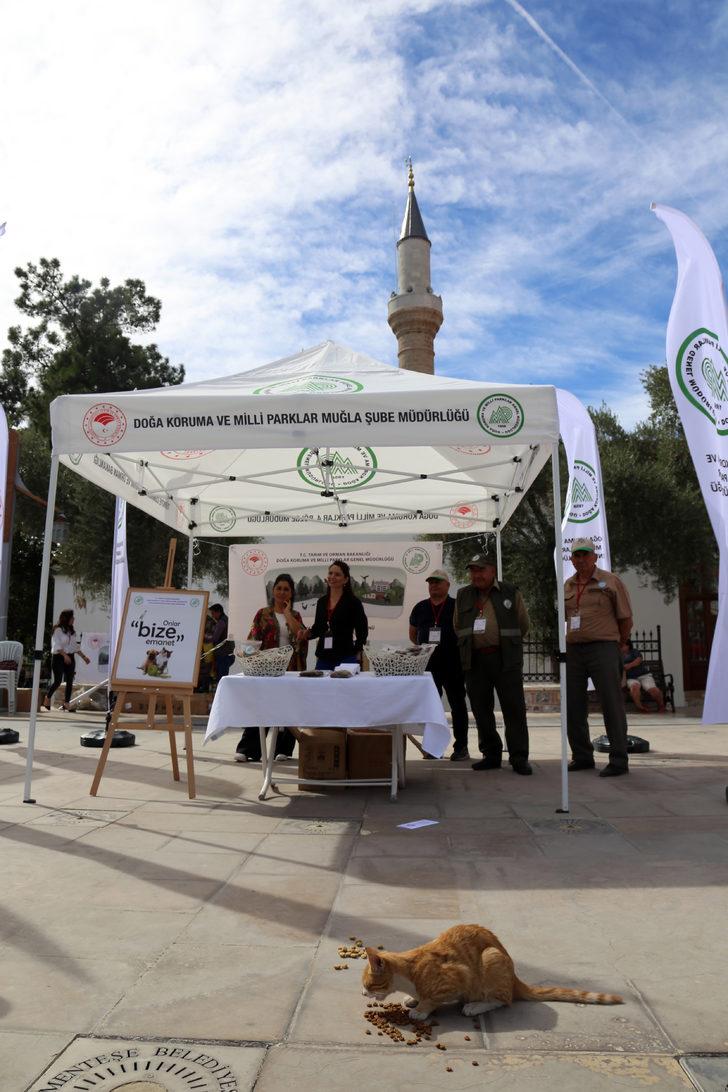Muğla'da sahipsiz hayvanlar için vatandaşlara mama dağıtıldı G5