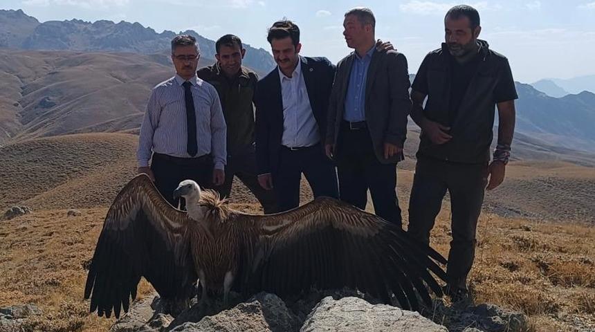Hakkari'de tedavisi tamamlanan kızıl akbaba doğaya salındı