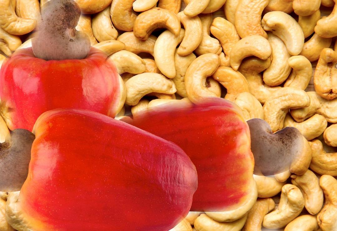 Herkesin &ccedil;ok sevdiği kuruyemiş! Gizli etkileri deşifre oldu: Kalp, tansiyon, kolesterol...