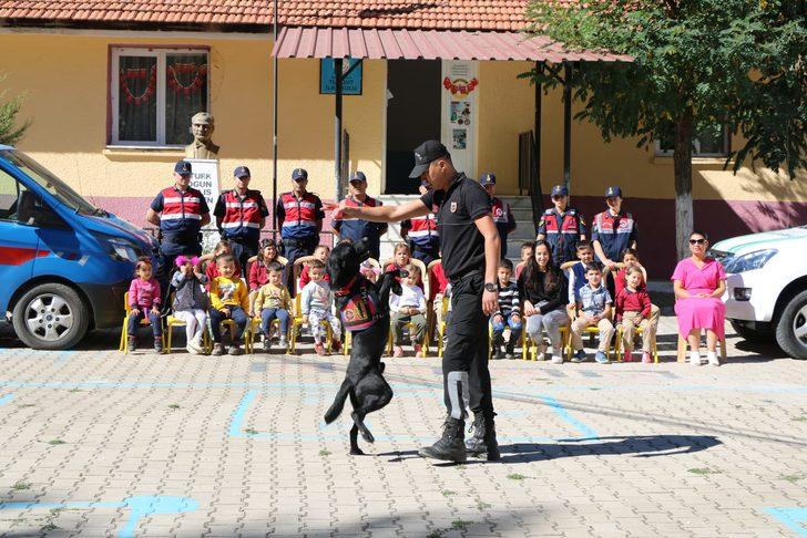 Muğla'da jandarma ekipleri arama kurtarma köpeğiyle öğrencilere gösteri yaptı G1