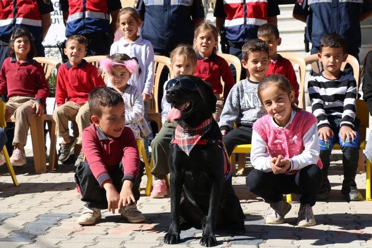 Muğla'da jandarma ekipleri arama kurtarma köpeğiyle öğrencilere gösteri yaptı G3
