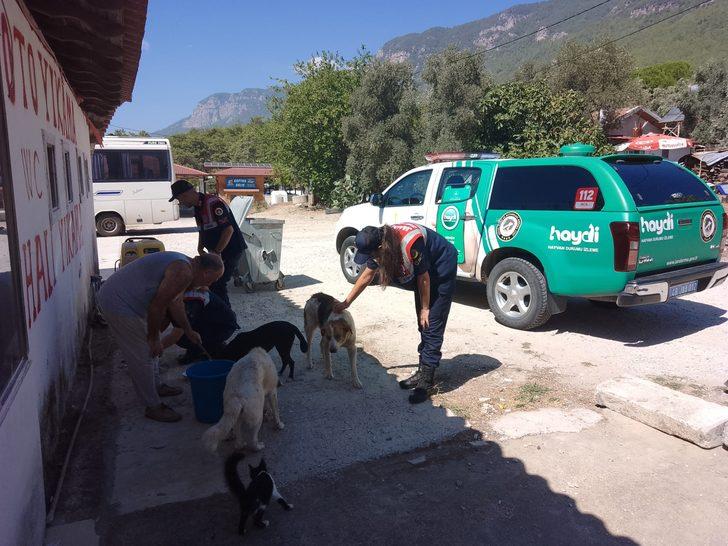 Muğla'da jandarma ekipleri arama kurtarma köpeğiyle öğrencilere gösteri yaptı G5