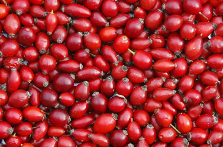 Portakaldan 60 kat fazla C vitamini içeriyor! Bunu yiyenler hastalık yüzü görmüyor G4