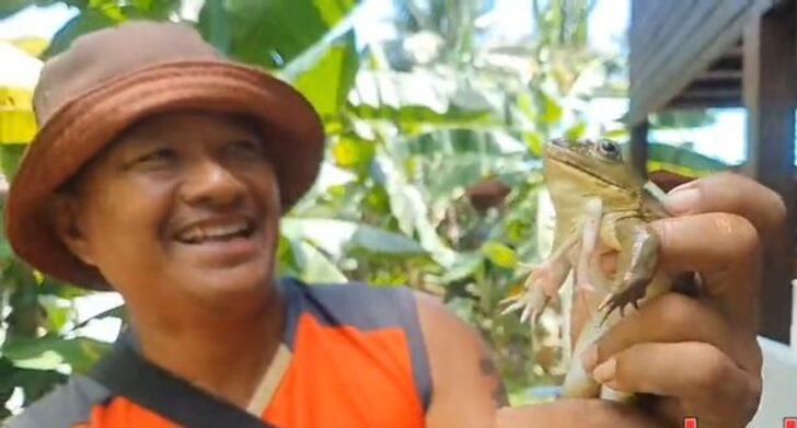 Altı bacaklı kurbağa hayatını değiştirdi! “İyi şans getirdi” dedi, servet kazandı G1