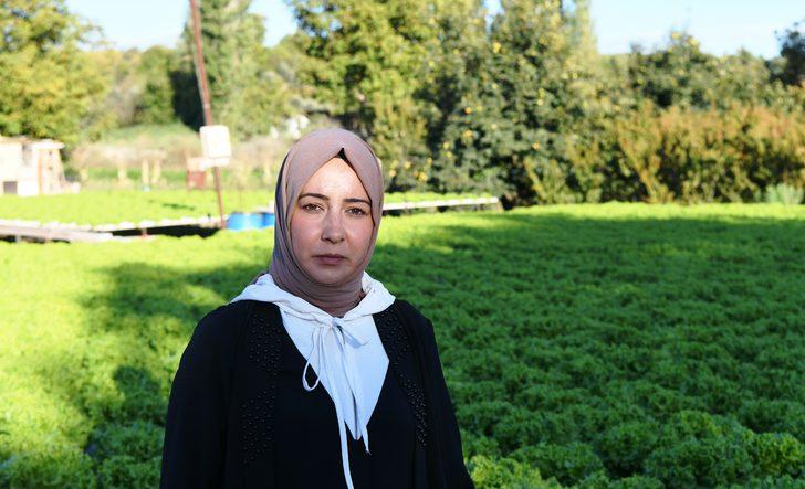 Çanakkaleli kadın çiftçi topraksız tarımla marulun yetişme süresini kısalttı G5