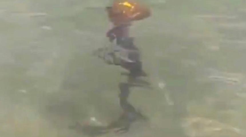 Ne olduğunu çözebilen yok! Kimisi uzaylı diyor kimisi yaratık...