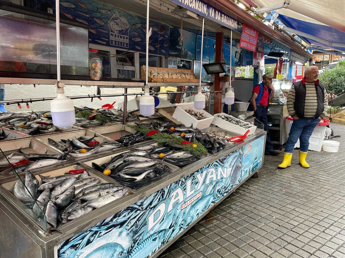 Bartın'da olumsuz hava şartları balık fiyatlarını y&uuml;kseltti