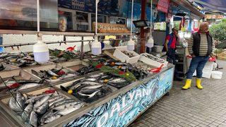 Bartın'da olumsuz hava şartları balık fiyatlarını yükseltti