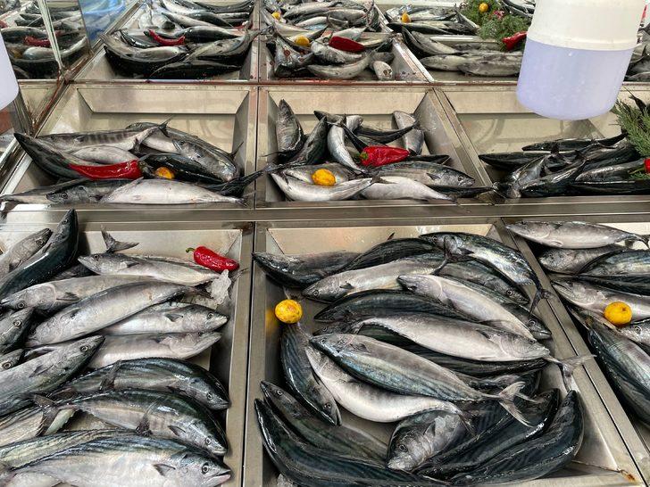 Bartın'da olumsuz hava şartları balık fiyatlarını yükseltti G2