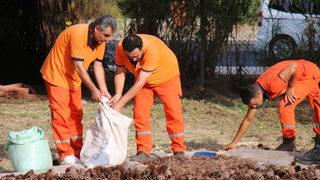 Mersin'de ormanlık alanlara 27 ton 250 kilogram kızılçam tohumu ekilecek