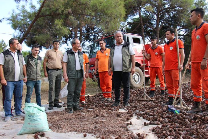 Mersin'de ormanlık alanlara 27 ton 250 kilogram kızılçam tohumu ekilecek G4