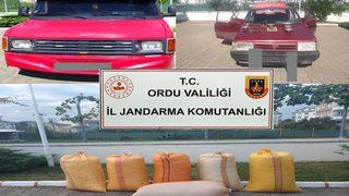 Ordu'da fındık ve kablo hırsızlığı yapan 7 şüpheli yakalandı