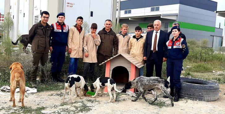 Düzce'de lise öğrencileri "can dostlar" için kulübe tasarladı G4