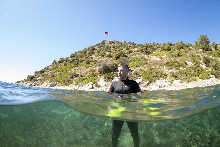 Bodrum'un su altı dünyasında tarih ve doğal yaşam bir arada görüntülendi G1