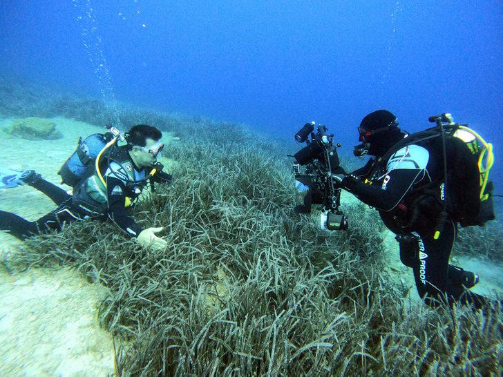 Bodrum'un su altı dünyasında tarih ve doğal yaşam bir arada görüntülendi G4