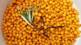 Bu meyve şifa dağıtıyor ama fazla yenildiğinde hastanelik ediyor! Alıç meyvesinin bilinmeyen zararları