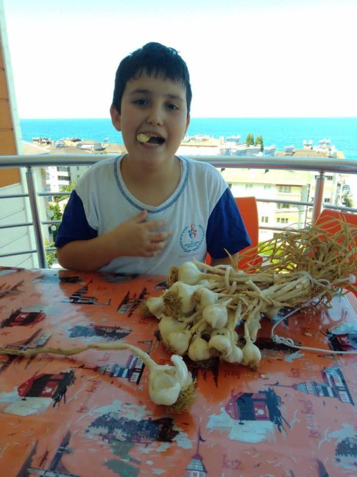 9 yaşındaki Muhammed leblebi yer gibi sarımsak yiyor! 'Her gün en az beş diş yiyorum, hiç hasta olmadım' G5