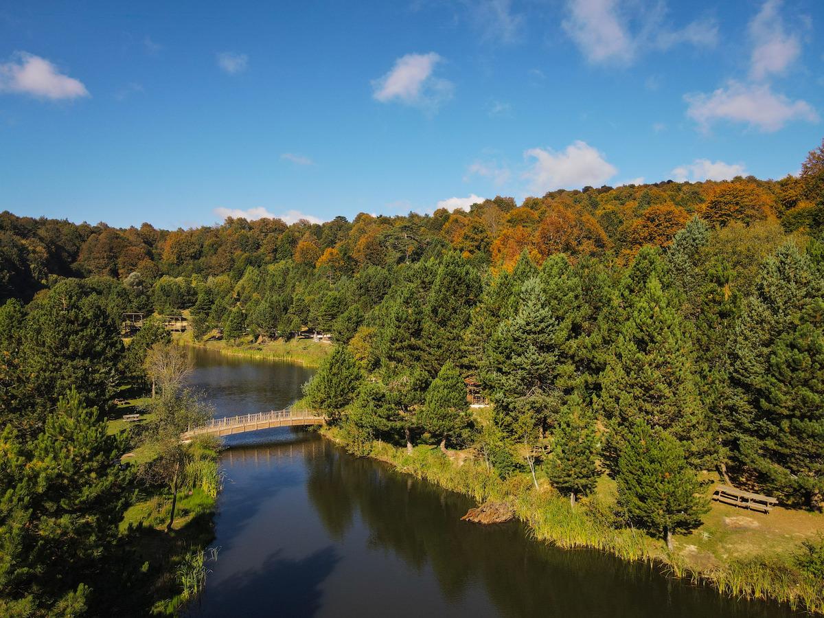 Domani&ccedil; Dağları sonbaharın sarı tonlarına b&uuml;r&uuml;nmeye başladı