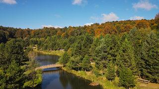 Domaniç Dağları sonbaharın sarı tonlarına bürünmeye başladı