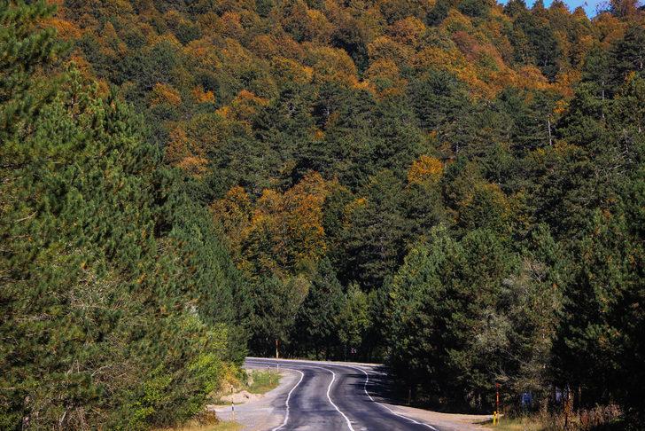 Domaniç Dağları sonbaharın sarı tonlarına bürünmeye başladı G4