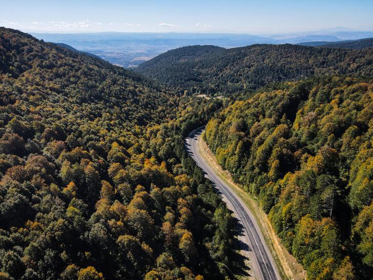 Domaniç Dağları sonbaharın sarı tonlarına bürünmeye başladı G5