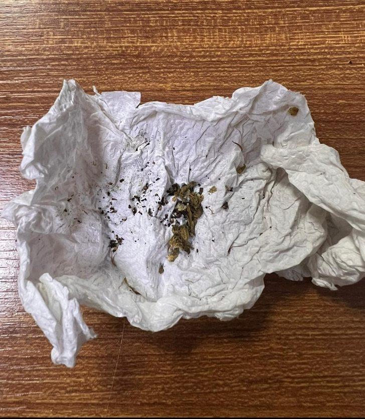 Yalova'da uyuşturucu operasyonunda 8 kişi gözaltına alındı G5